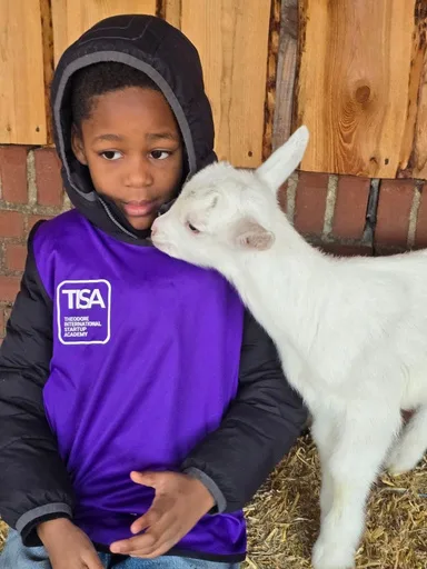 A young student in a purple TISA vest nuzzled by a baby goat at the school farm